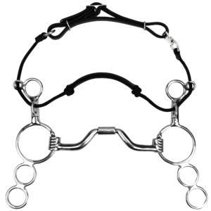 Myler 3-Ring Combination Bit - 6" Shank with Sweet Iron Ported Barrel MB 33