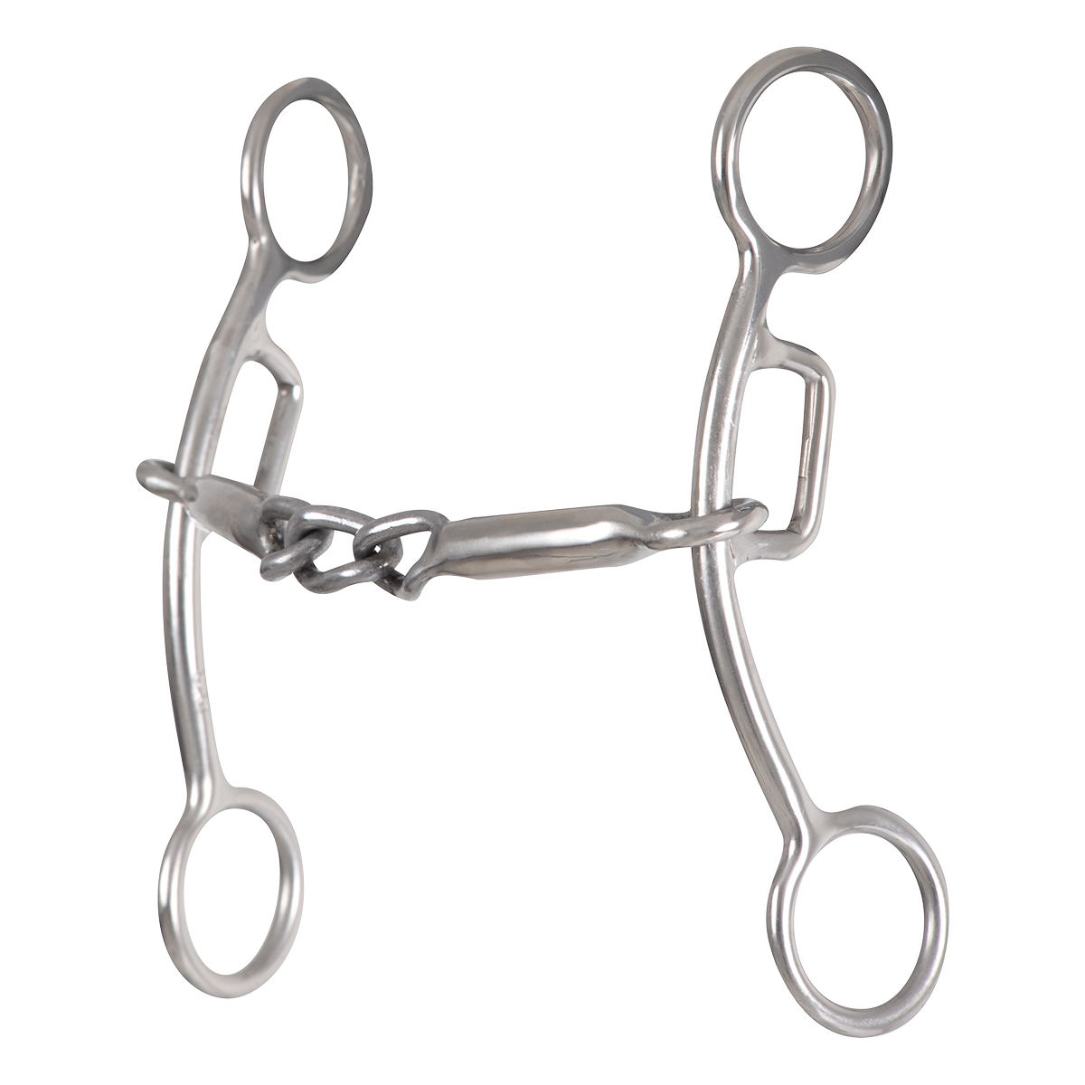 Carol Goostree Delight Bit- Chain Snaffle