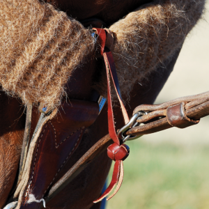 Martin Saddlery Tiedown Hobble Strap with Button Knot