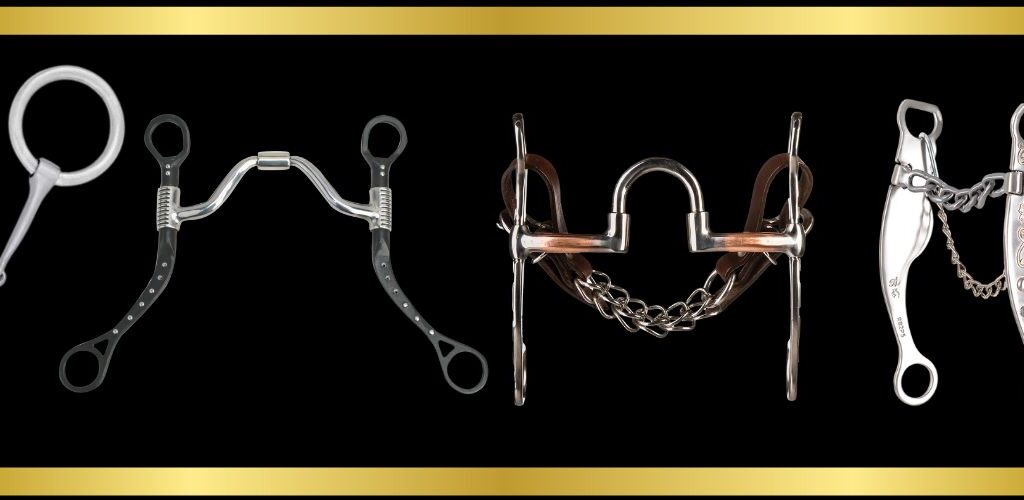 Different horse bit mouthpiece designs