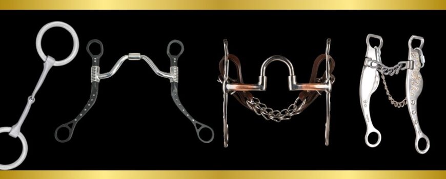 Different horse bit mouthpiece designs